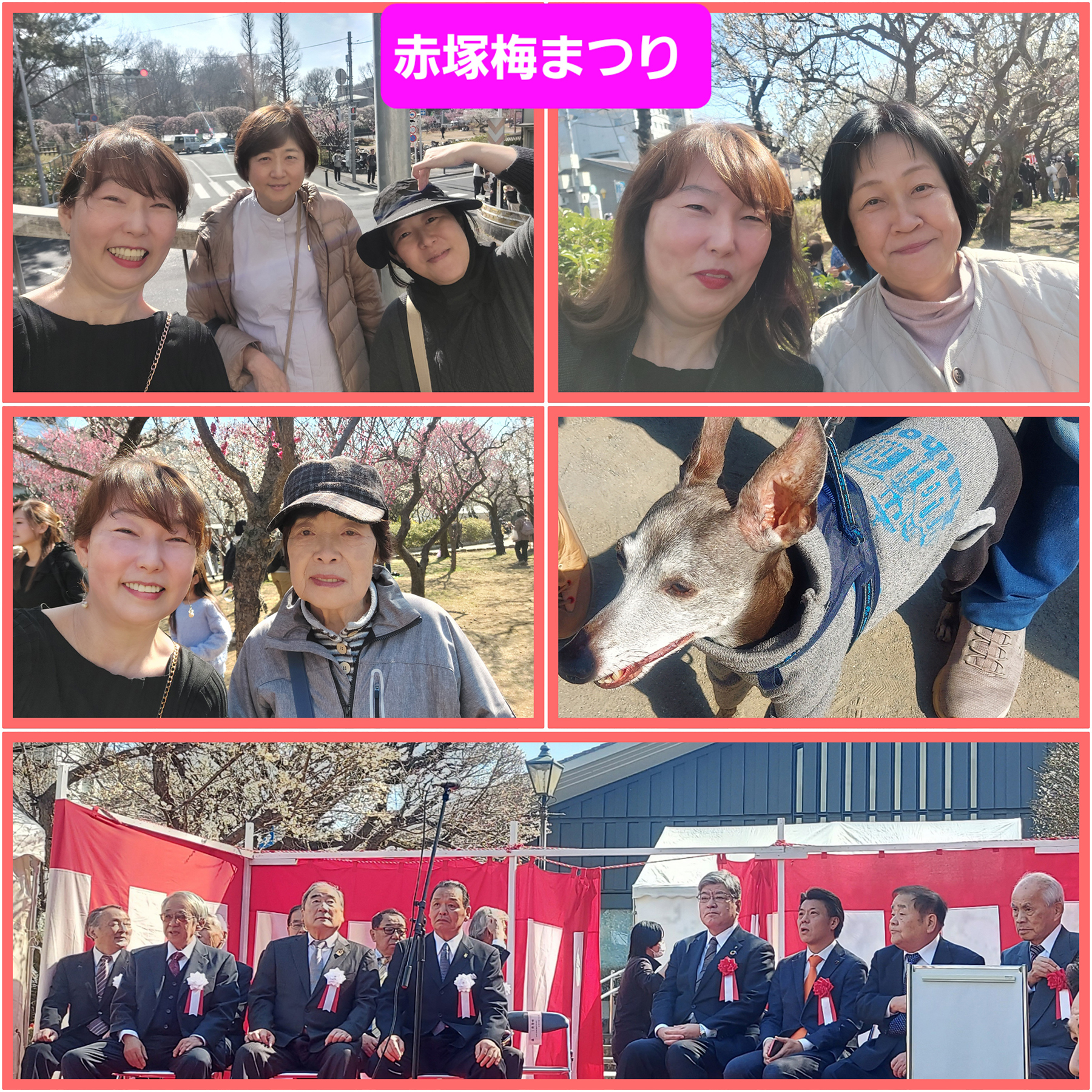 赤塚梅まつり